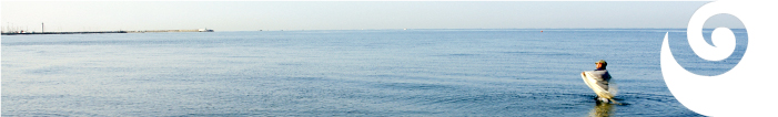 DEMAR - Freschezze dal mare